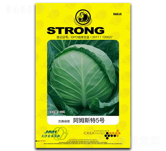 阿姆斯特5號-甘藍種子-金木茂和