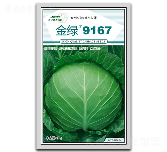 金綠9167-甘藍(lán)種子-金木茂和