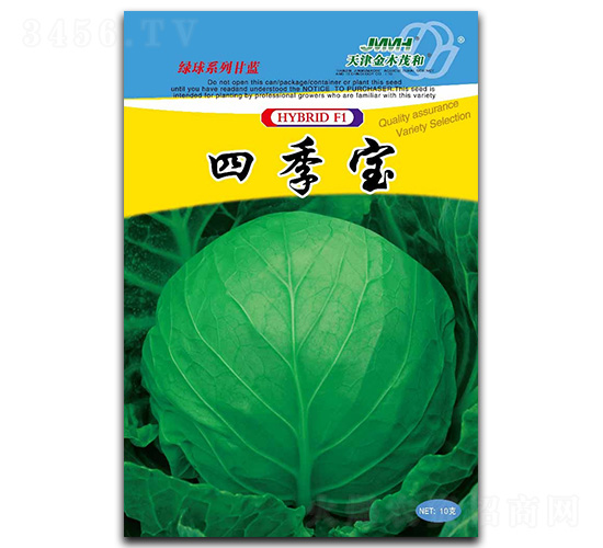 四季寶-甘藍(lán)種子-金木茂和