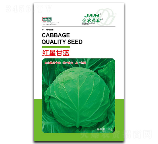 紅星甘藍(lán)-甘藍(lán)種子-金木茂和