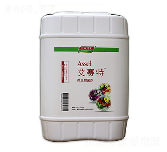 ΢�������-��ِ��-����������