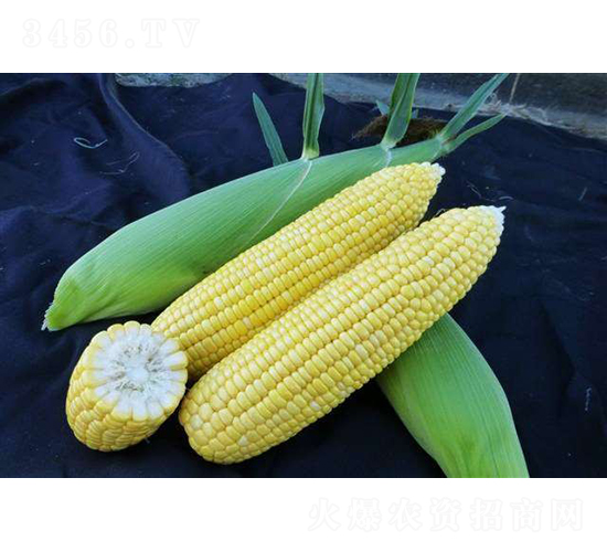 2019-552���׷N��-�r(n��ng)�ƷN��