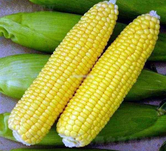 �������׷N��-�r(n��ng)�ƷN��