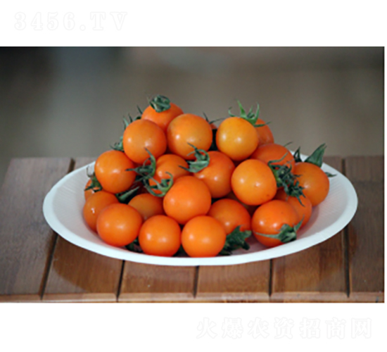 ����K628-���ѷN��-�r(n��ng)�ƷN��