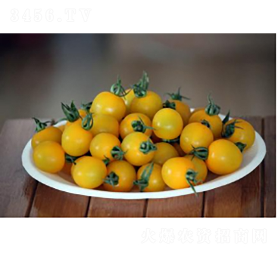 滬櫻3321-番茄種子-農(nóng)科種子