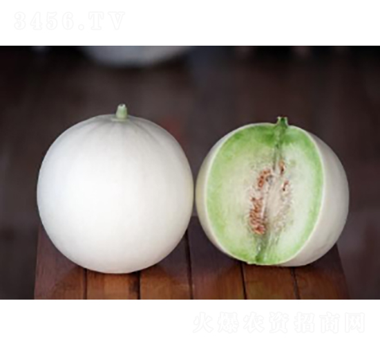 ��G-��ϷN��-�r(n��ng)�ƷN��