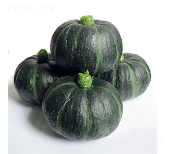 ؐؐ�Gһ̖(h��o)-��ϷN��-�r(n��ng)�ƷN��