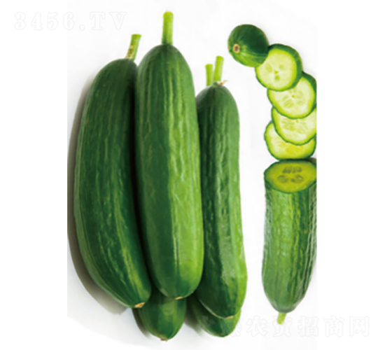 ����608-�S�ϷN��-�r(n��ng)�ƷN��