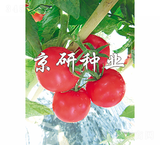 ����102-���ѷN��-���зN�I(y��)