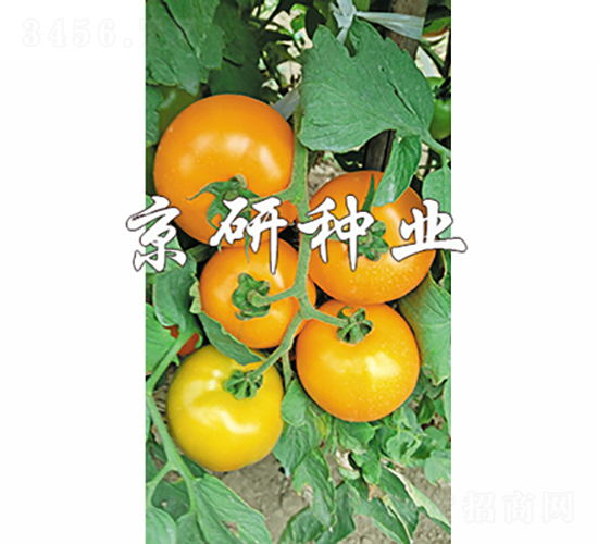 ����701-���ѷN��-���зN�I(y��)