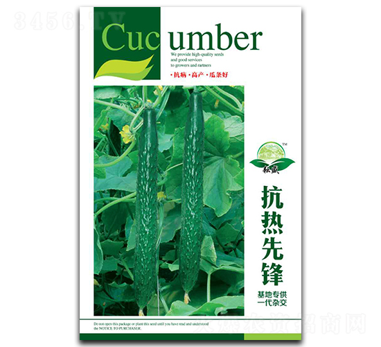 �������h-�S�ϷN��-��ʢ