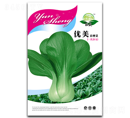 優(yōu)美-青梗菜種子-耘盛