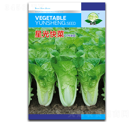 �ǹ���-��˷N��-��ʢ