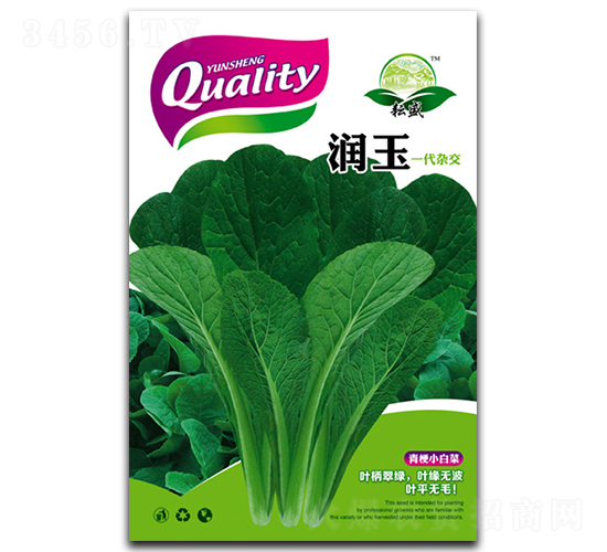 潤玉-白菜種子-耘盛
