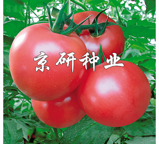 �ɿ�360-���ѷN��-���зN�I(y��)