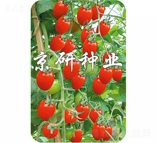 ����6̖(h��o)-���ѷN��-���зN�I(y��)