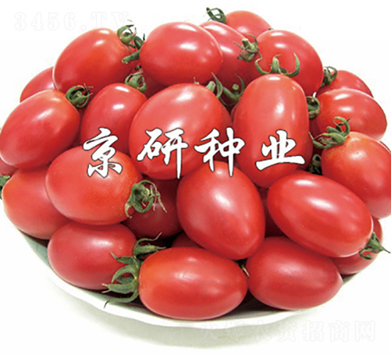 ����2̖-���ѷN��-���зN�I(y��)