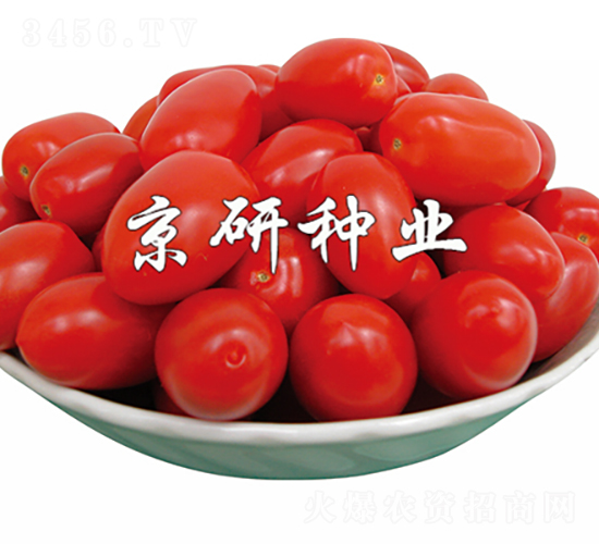 ����5̖-���ѷN��-���зN�I(y��)