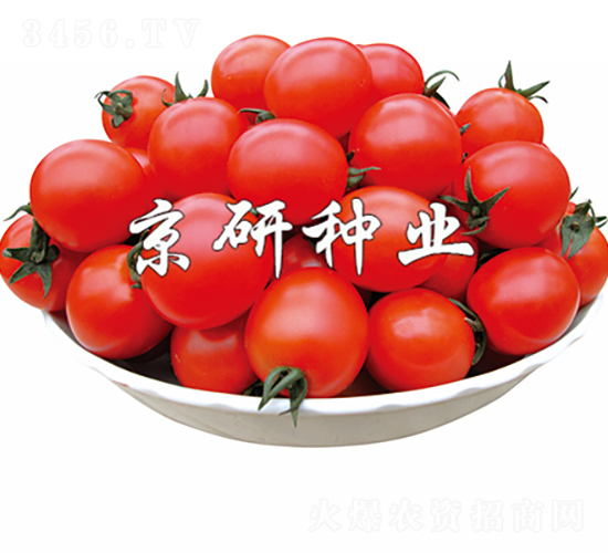 ����8̖-���ѷN��-���зN�I(y��)