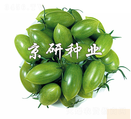 �G��ʯ2̖(h��o)-���ѷN��-���зN�I(y��)