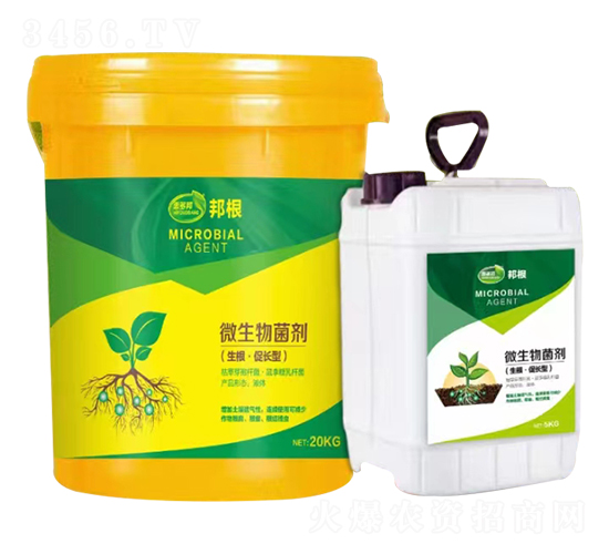 ΢�������-�ݶ��