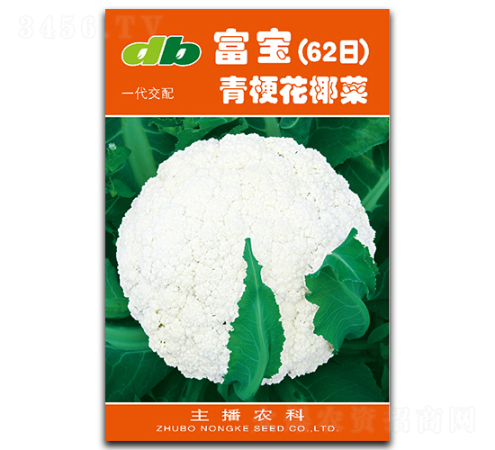 富寶62天-花椰菜種子-比爾