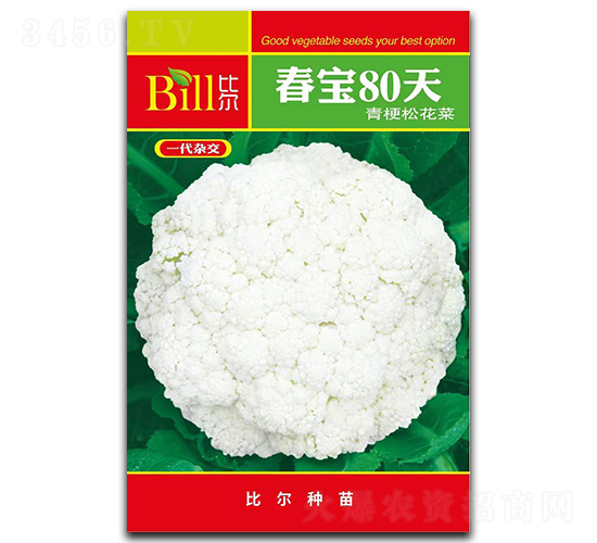 ����80��-��Ҭ�˷N��-�Ƞ�