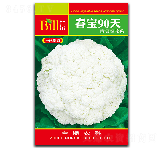 春寶90天-花椰菜種子-比爾