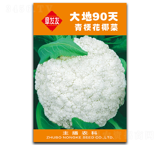 ���90��-��Ҭ�˷N��-�Ƞ�