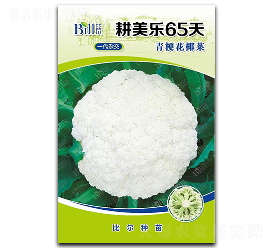 耕美樂65天-花椰菜種子-比爾
