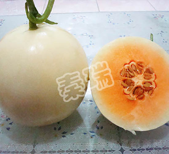 貴妃雪蜜-甜瓜種子-秦瑞