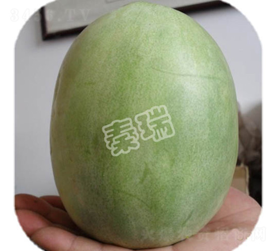 �����̖-��ϷN��-����