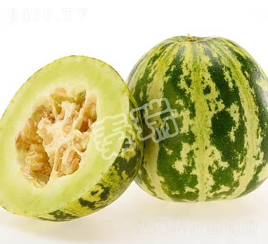 ������-��ϷN��-����