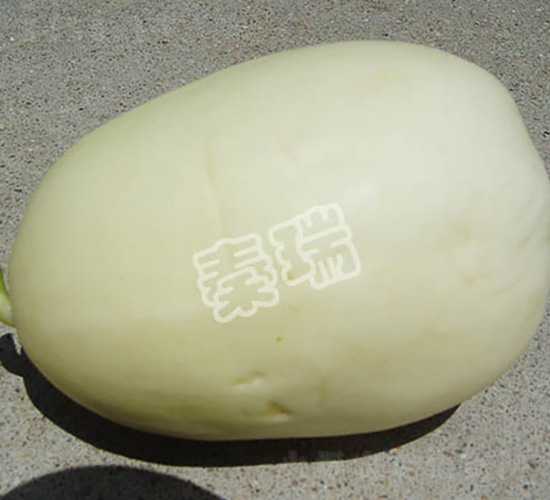 ����һ̖-��ϷN��-����