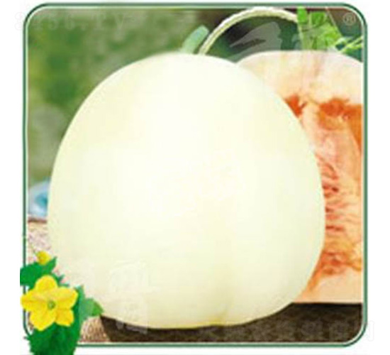 ѩ�۶�̖-��ϷN��-����