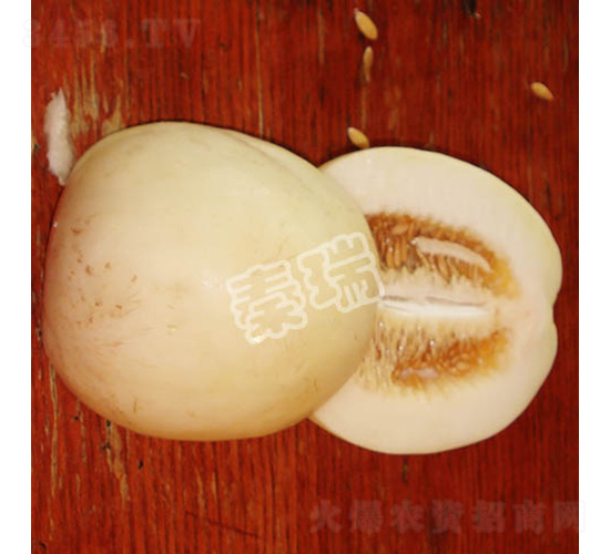 ѩ��һ̖(h��o)-��ϷN��-����