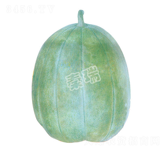 ֥����-��ϷN��-����