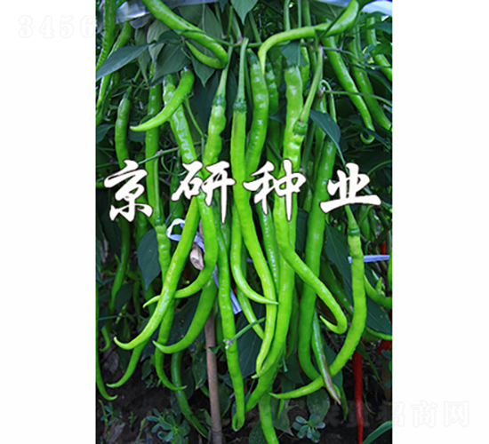 ��(gu��)��410-�����N��-���зN�I(y��)