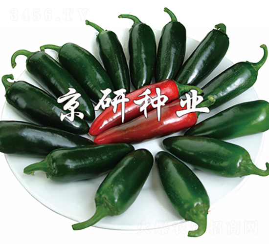 ��(gu��)��104-�����N��-���зN�I(y��)