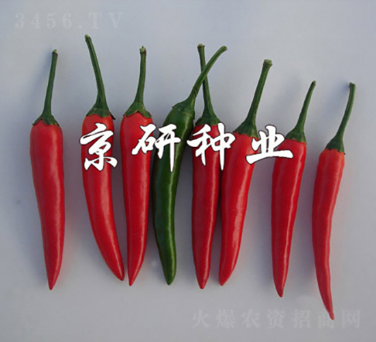 ����112-�����N��-���зN�I(y��)