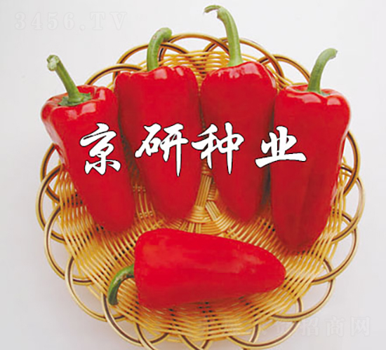 ����-�����N��-���зN�I(y��)