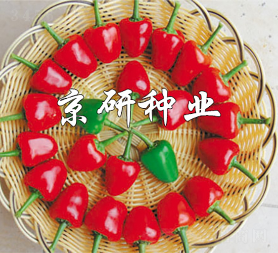 ��(gu��)��166-�����N��-���зN�I(y��)