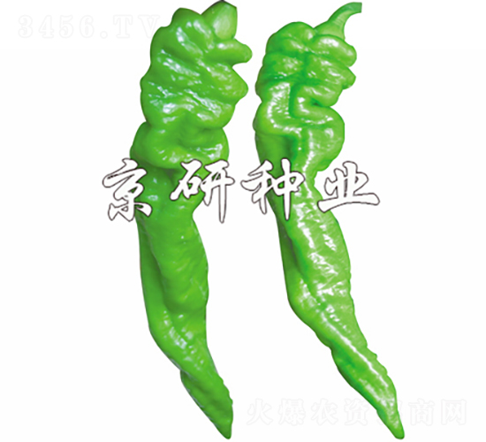 ����5̖-�����N��-���зN�I(y��)