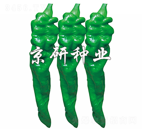 ����103-�����N��-���зN�I(y��)