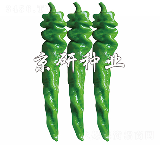 ����703-�����N��-���зN�I(y��)