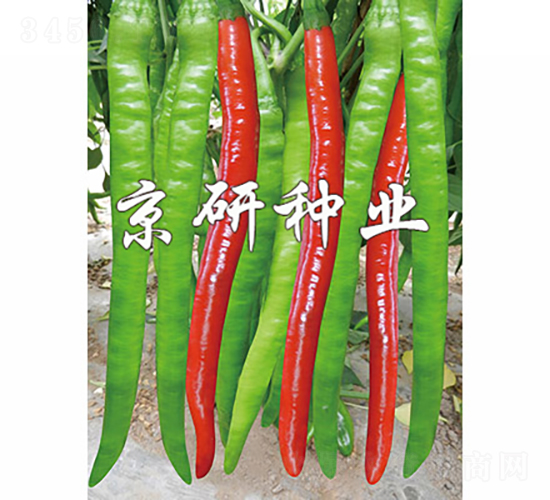 ����4̖-�����N��-���зN�I(y��)