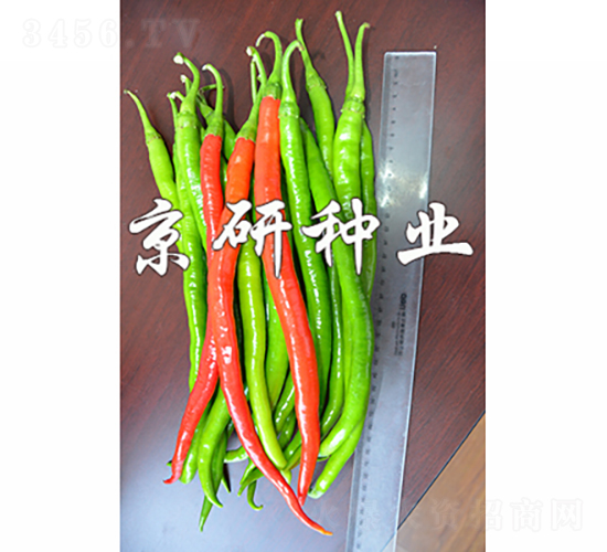 ����114-�����N��-���зN�I(y��)