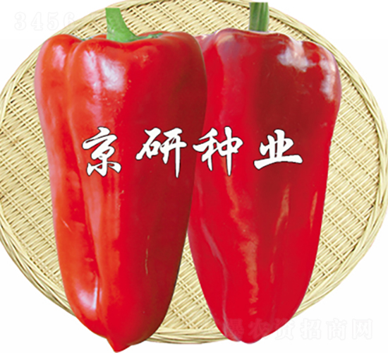 ���T4̖(h��o)-�����N��-���зN�I(y��)