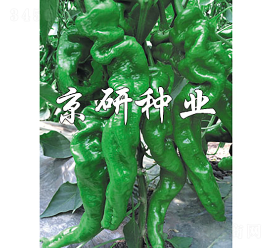 ����105-�����N��-���зN�I(y��)