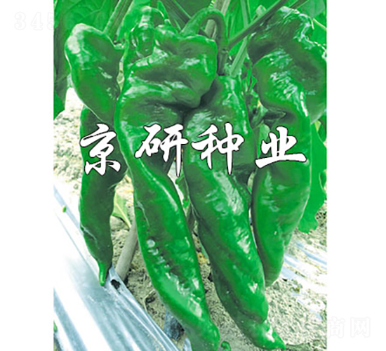 ����92-�����N��-���зN�I(y��)